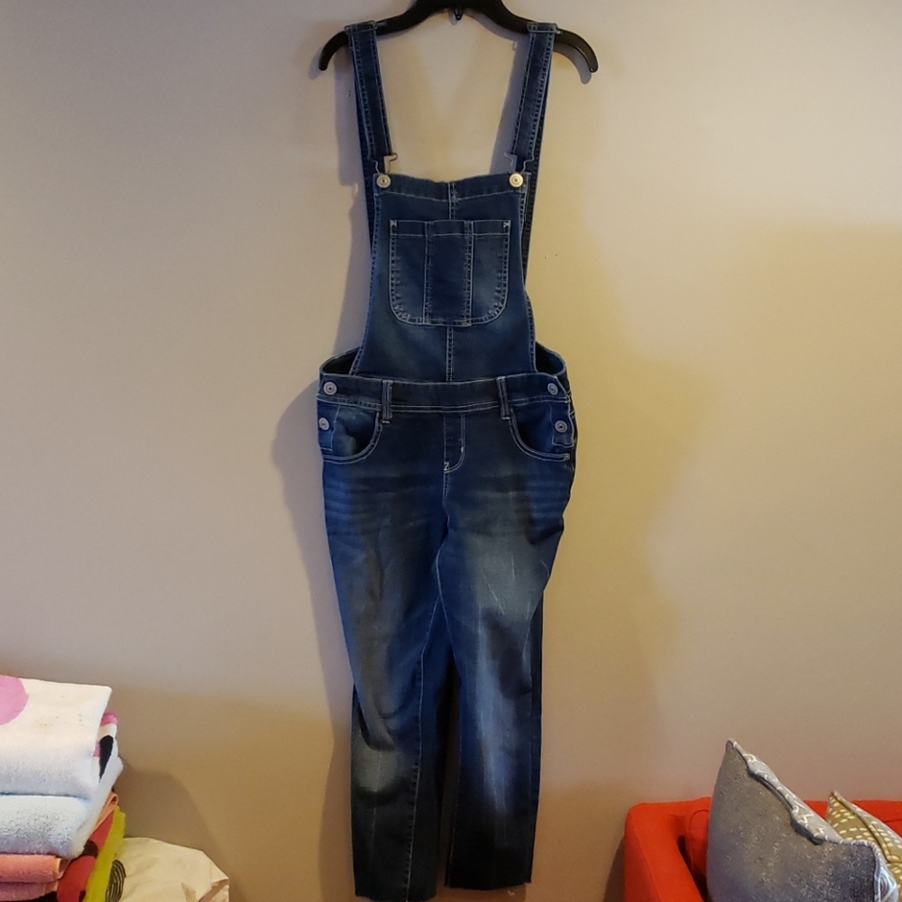 Wallflower Destroyed Capri Overalls